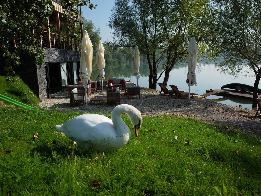 Zagreb Camp Bungalows Rakitje Kültér fotó